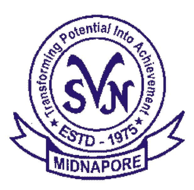 VSN Logo
